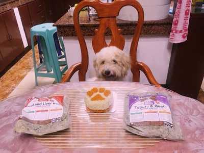 Barkin' Blends Dog Cafe