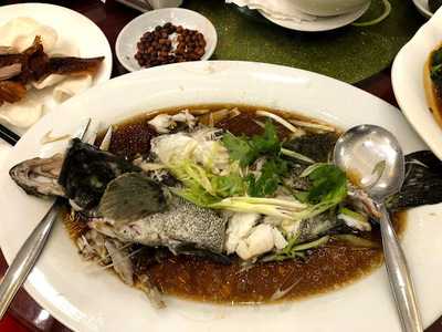 Choi Garden Seafood And Shark's Fin