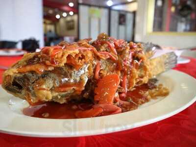 Shantung Chinese Restaurant