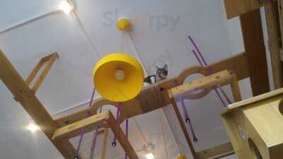 Cat Cafe Manila