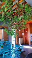 Cafe Velo