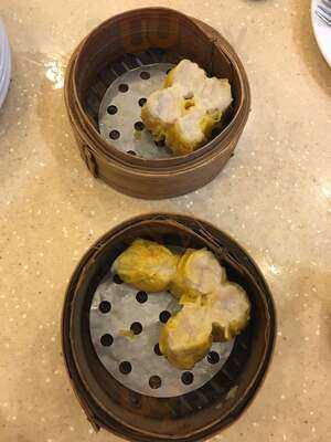 Dimsum Break