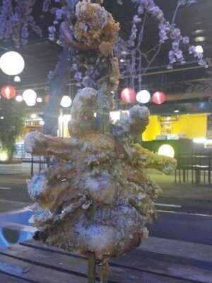 Above Sea Level By Baypoint