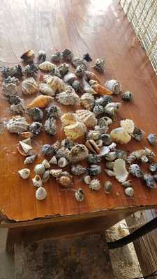 Ritzy's White Beach Resort And Restaurant