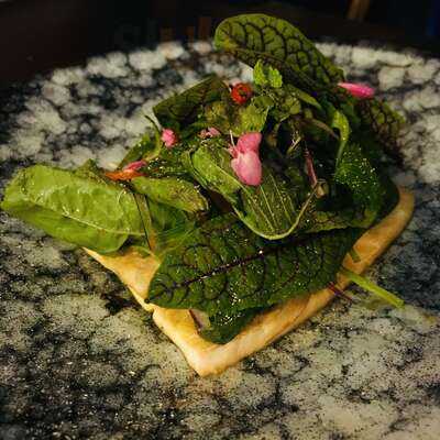 Essential Goodness, For The Pilgrims.