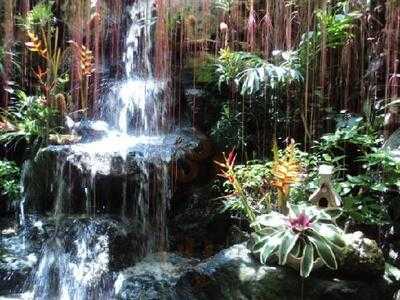 Kainan Sa Dalampasigan, Nasugbu Batangas