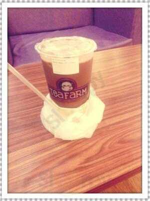 Tea Farm Philippines