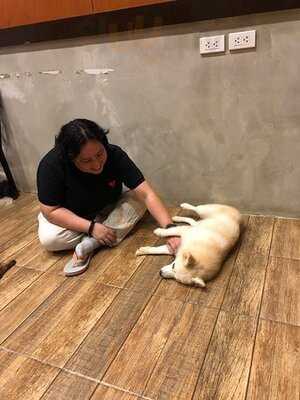 Barkin’ Blends Dog Cafe