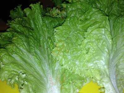 Go Go Korean Restaurant