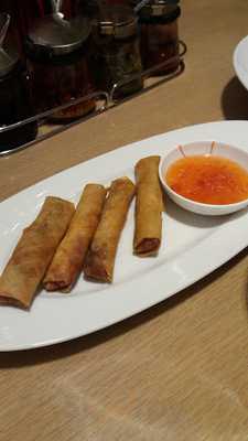 Titan Z International Entertainment