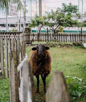 Kandelarya The Farm Kitchen