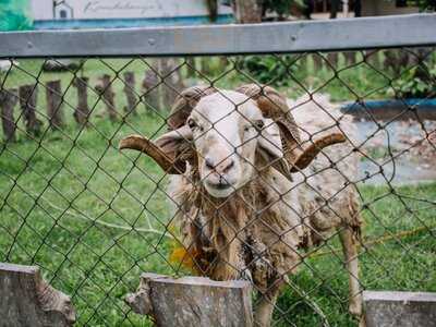 Kandelarya The Farm Kitchen