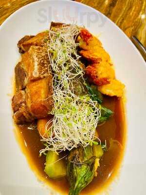 Haliya, City Of Dreams