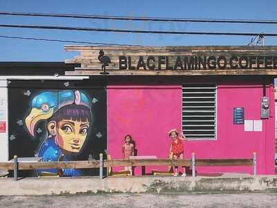 Blac Flamingo Coffee