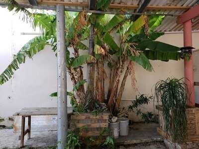 Restaurante Sabores Tropicales