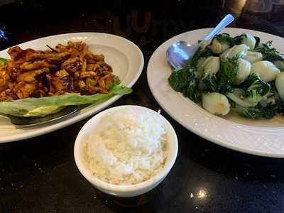 Tayzan Bar And Grill