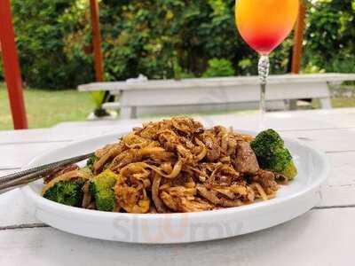 Ode To The Elephants