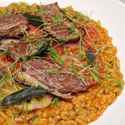 Marcella Orquidea Violeta