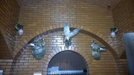 Гнездо Беркута