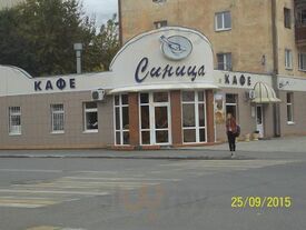 Синица