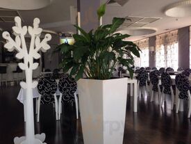 Траттория Густо