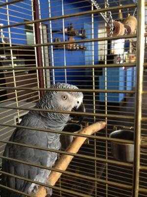 Ресторан Жемчуг