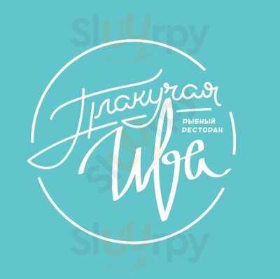 Плакучая Ива