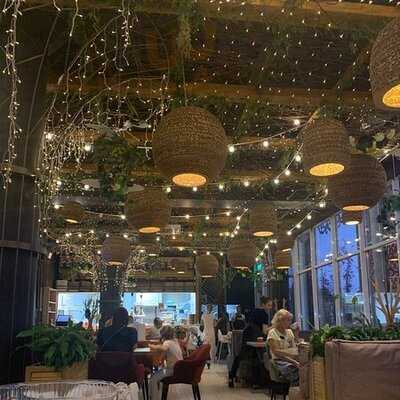 Сытый Мишка