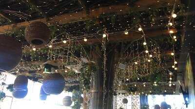 Сытый Мишка