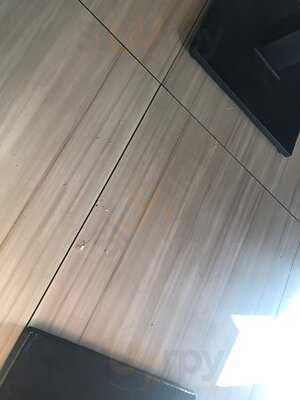 Сытый Мишка