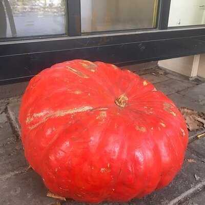 Кафе Лимон и мята