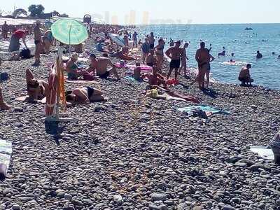 Кафе Веселое