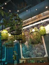 Feola’s Kitchen & Wine
