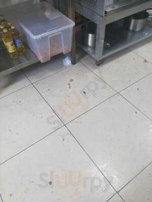 Твоя столовая