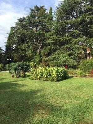 Золотой колос