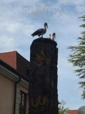 Золотой колос