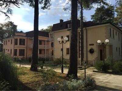 Золотой колос