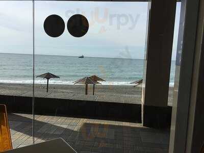 Буревестник