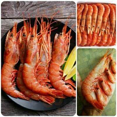 Раки 23 Раковарня №1