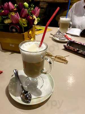 Мексиканский Тушкан