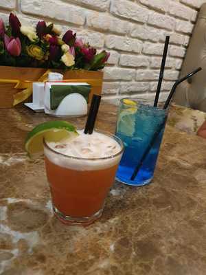 Мексиканский Тушкан