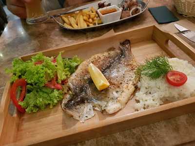 Мексиканский Тушкан