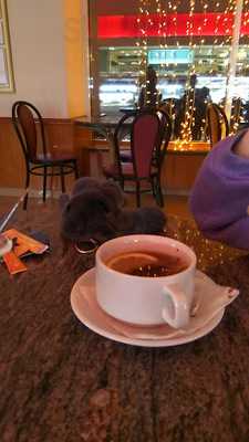 Золотой колос