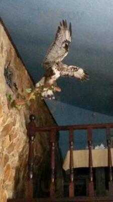 Гостинный дворЪ