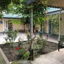 Кафе Хижина