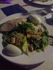 Полярная сова