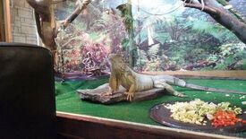 Ресторан Белая лошадь