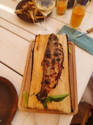 ВолнаВолна