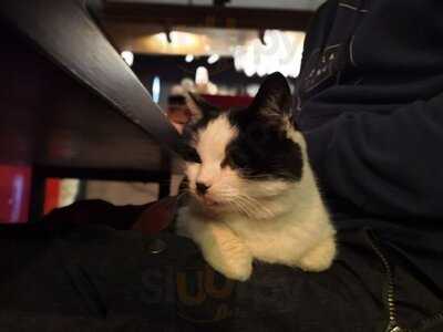 Кафе-Студия Б-67