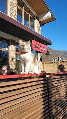 Кафе-Студия Б-67